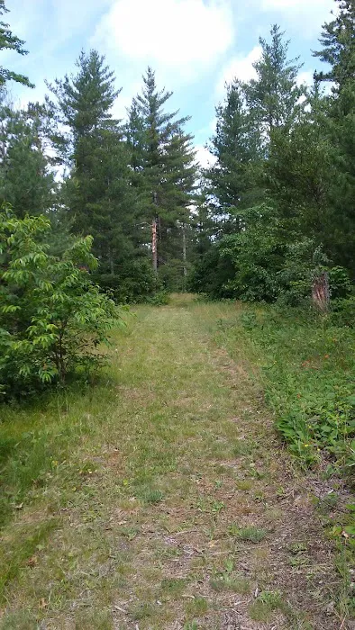 Jones Lake State Forest Campground 3