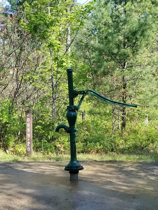 Jones Lake State Forest Campground 9
