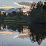 Cathedral Pines Campground