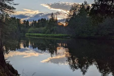 Cathedral Pines Campground