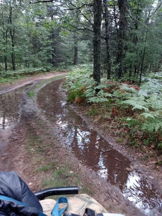 Cathedral Pines Campground 8