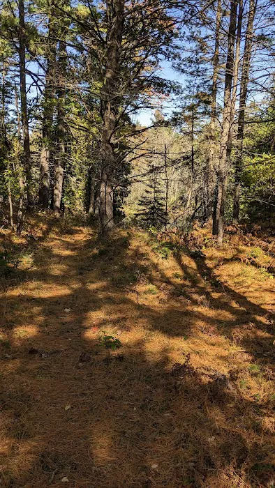 McKinley Trail Camp for the Shore to Shore Horseback and Hiking Trail 5