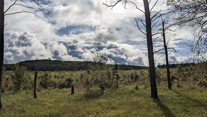 McKinley Trail Camp for the Shore to Shore Horseback and Hiking Trail 6