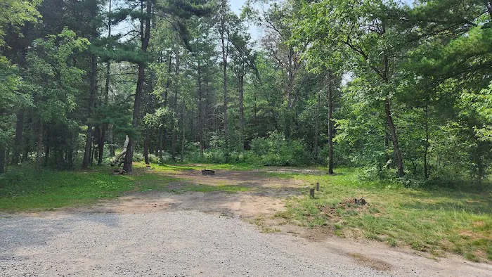 Buttercup Campground 8