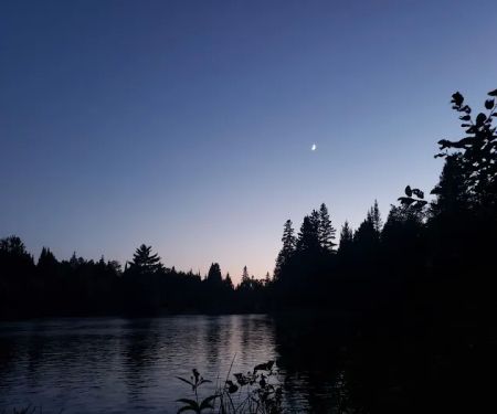 Buttercup Campground