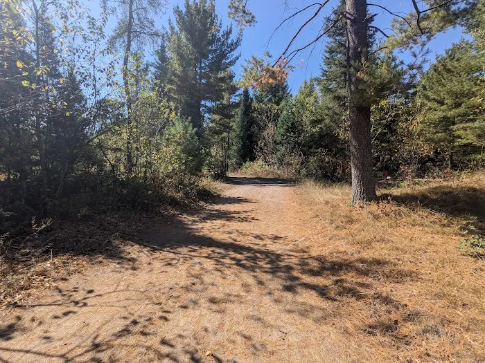 Buttercup Campground 5