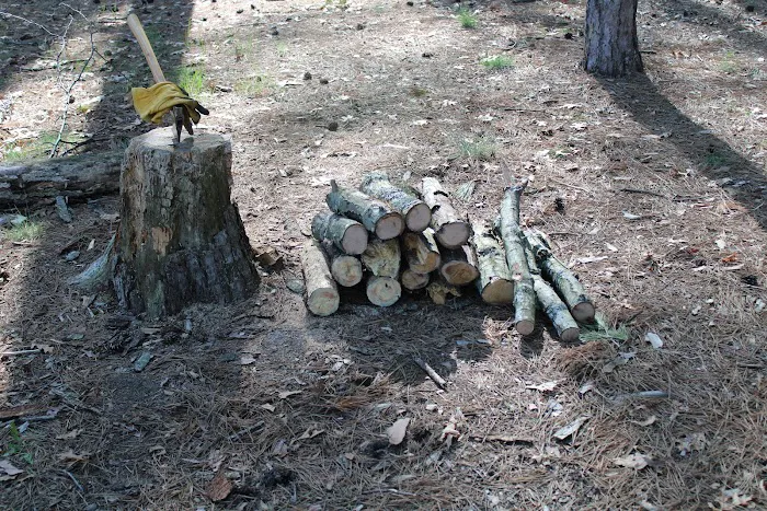 Ausable River Camping,MI Site 022C 3