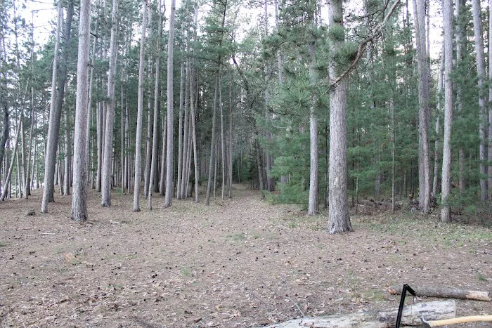 Ausable River Camping,MI Site 022C 2