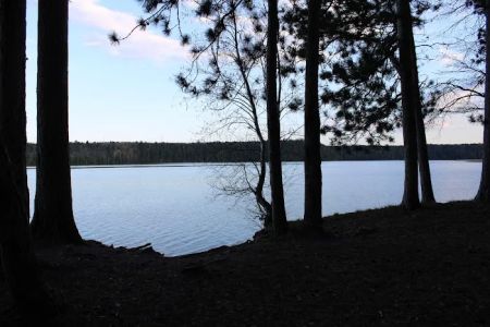 Ausable River Camping,MI Site 022C
