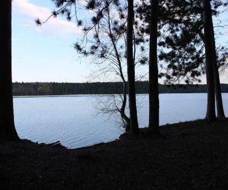 Ausable River Camping,MI Site 022C