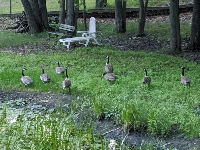 Round Lake Campground 4