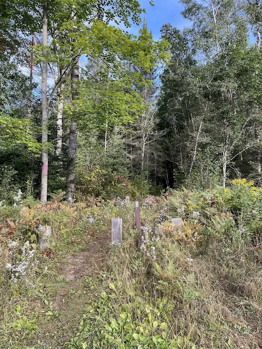 Ausable River Camping 08W 9