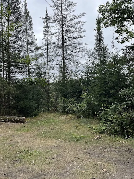 Ausable River Camping 08W 6