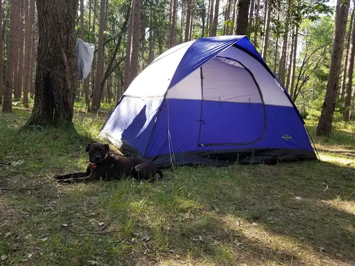 Monument Campground 2
