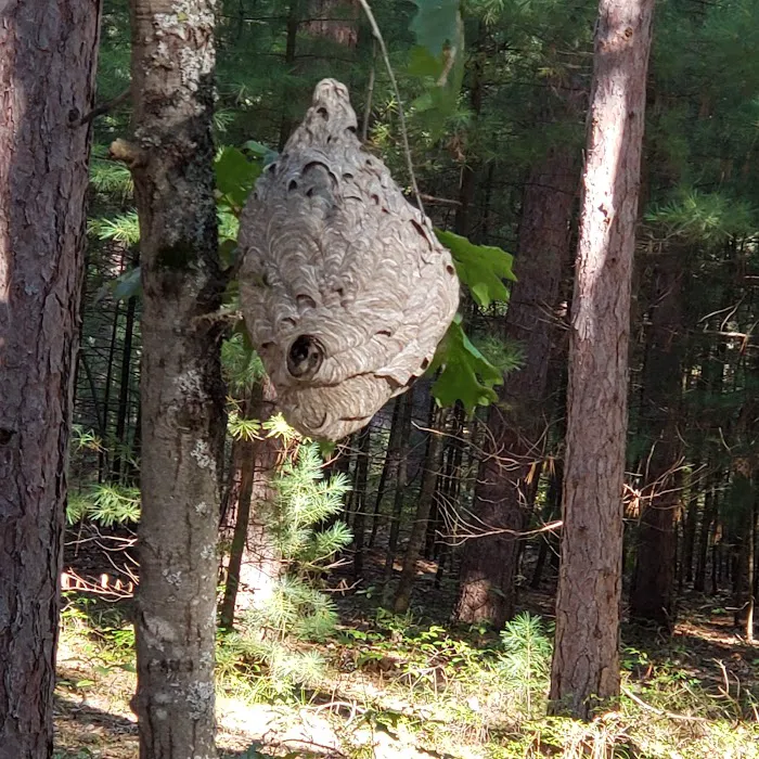 Monument Campground 6