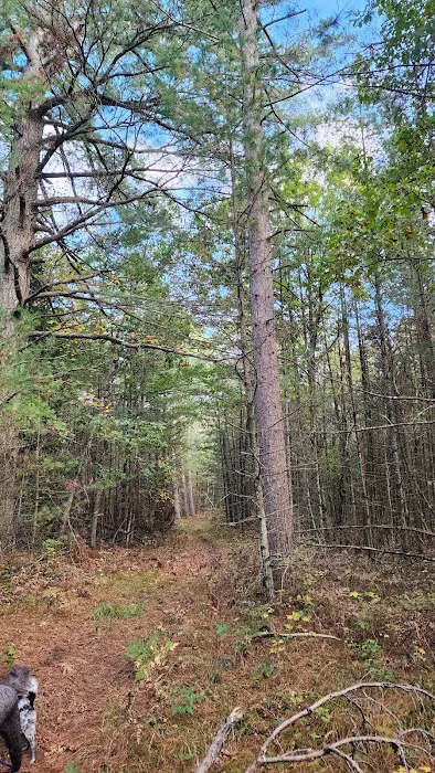 River Road Trail Horse Camp 2