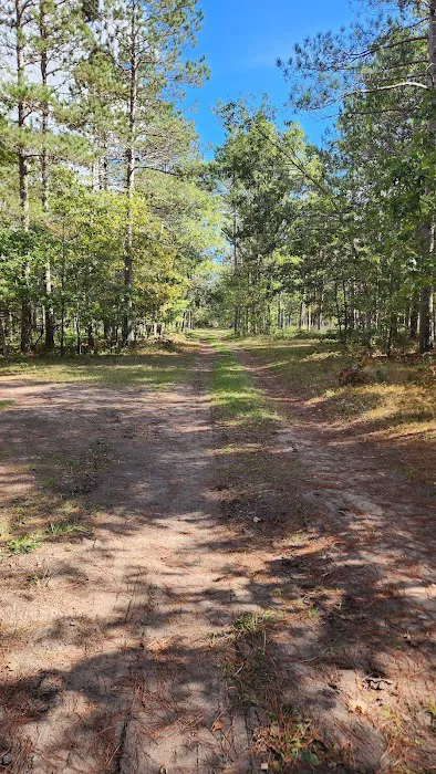 River Road Trail Horse Camp 1