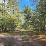River Road Trail Horse Camp