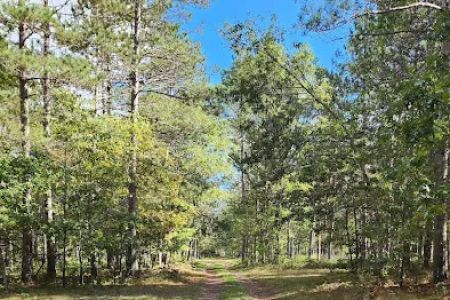 River Road Trail Horse Camp
