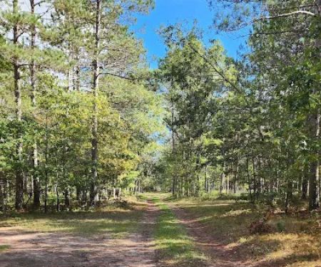 River Road Trail Horse Camp