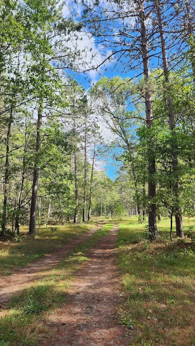 River Road Trail Horse Camp 5