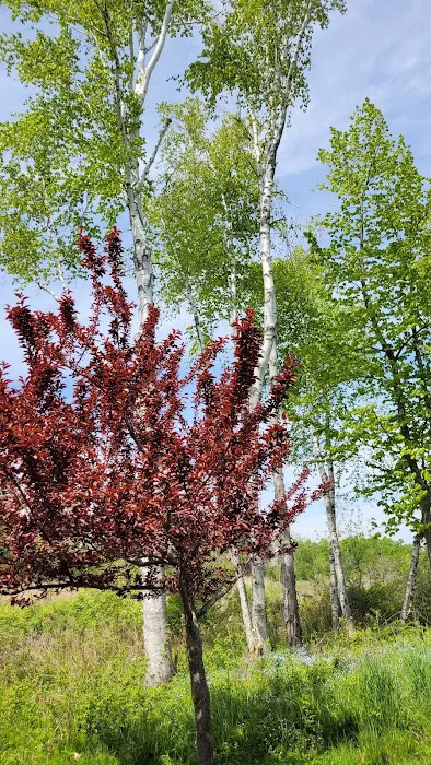 North Park Campground 9