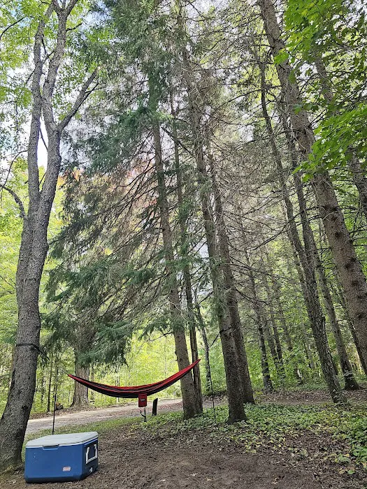 Platte River State Forest Campground 6