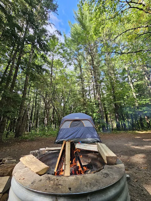 Platte River State Forest Campground 5
