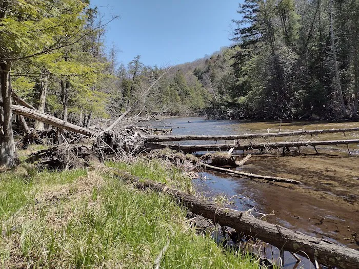 Platte River State Forest Campground 7
