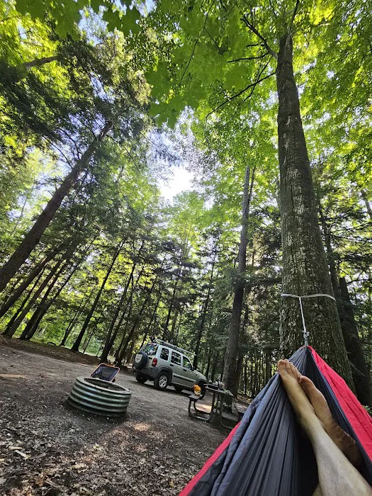 Platte River State Forest Campground 9