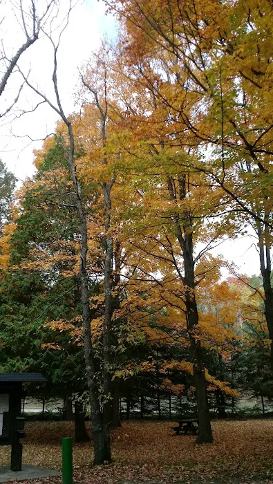 Veterans Memorial State Forest Campground 1
