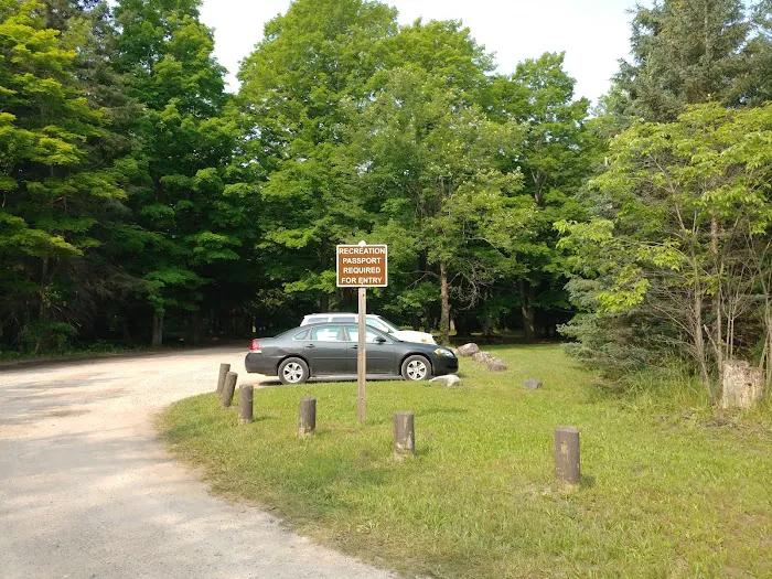 Veterans Memorial State Forest Campground 9