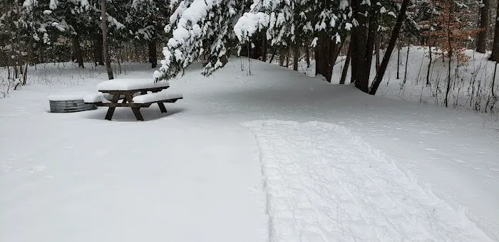 Veterans Memorial State Forest Campground 3