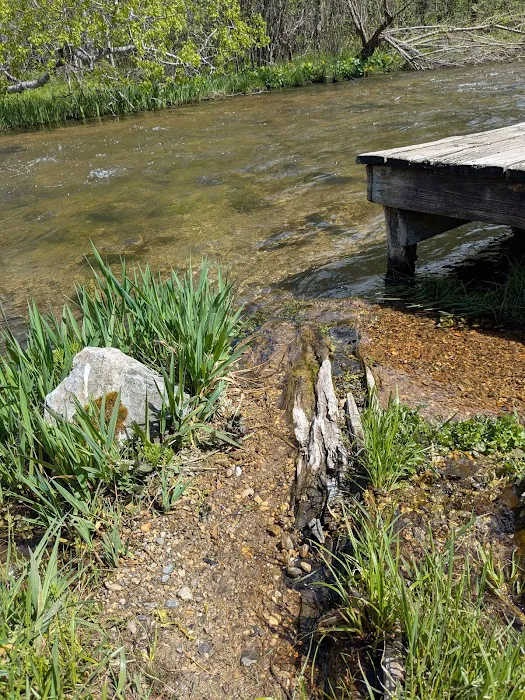 Veterans Memorial State Forest Campground 7