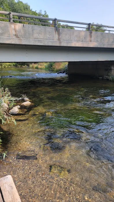 Veterans Memorial State Forest Campground 2