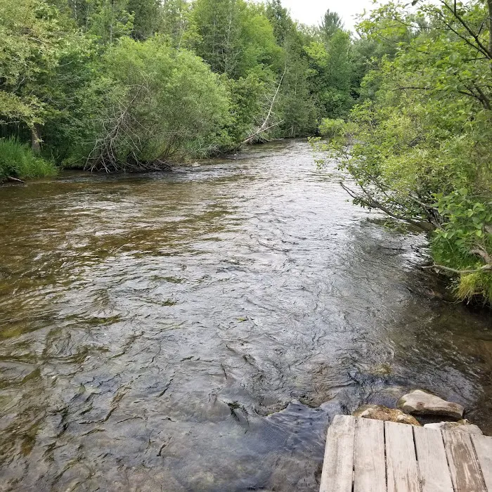 Veterans Memorial State Forest Campground 8