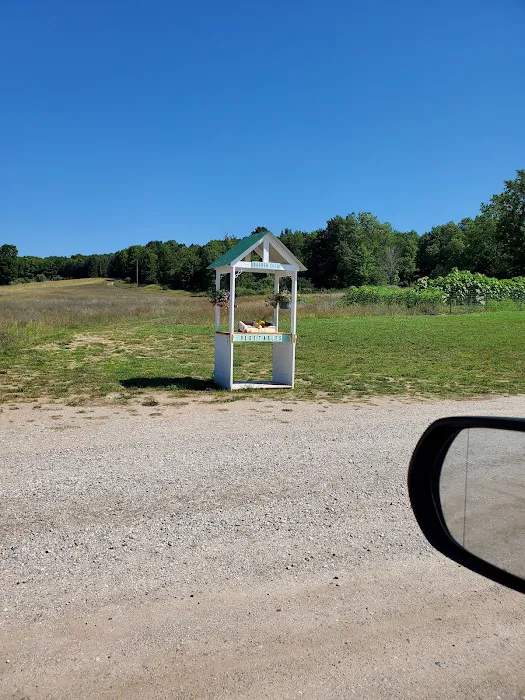 Frankfort Crystal Lake RV Resort 4