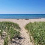 White Pines Backcountry Campground