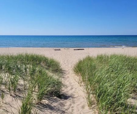 White Pines Backcountry Campground