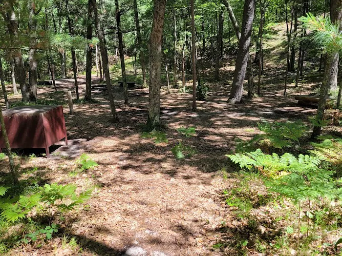 White Pines Backcountry Campground 7