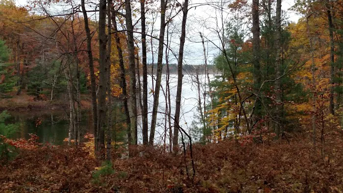 Lake Dubonnet State Forest Campground 5