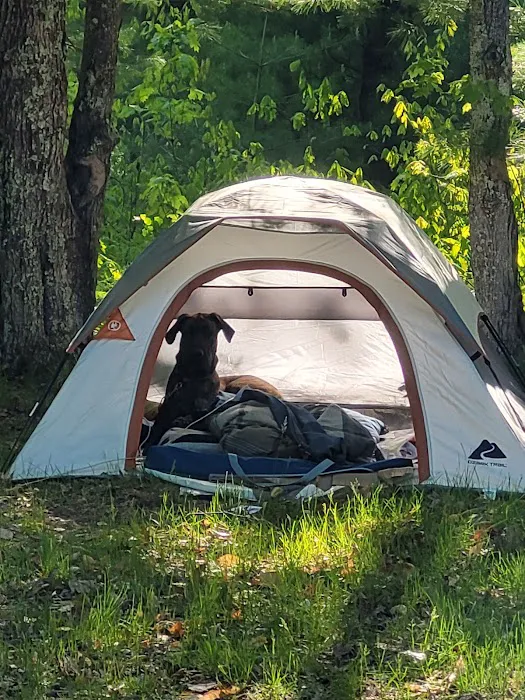 Lake Dubonnet State Forest Campground 8
