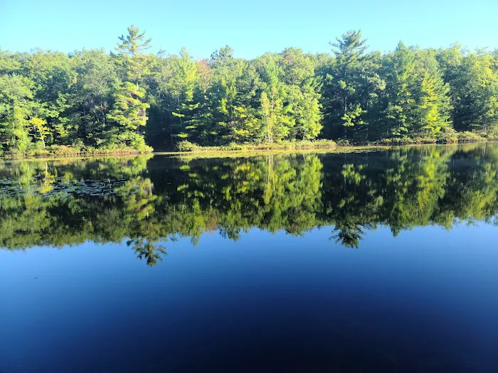 Lake Dubonnet State Forest Campground 4