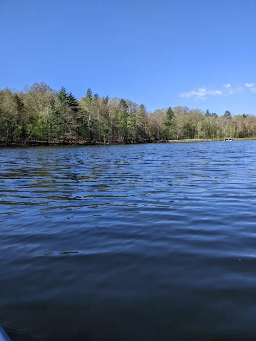 Lake Dubonnet State Forest Campground 6