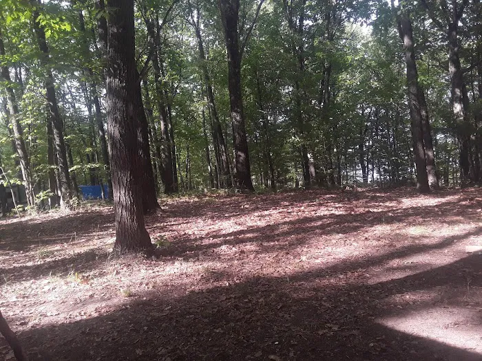Lake Dubonnet State Forest Campground 10