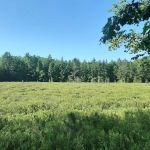 Lake Dubonnet Trail Camp