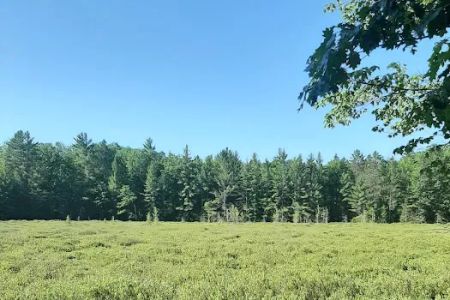 Lake Dubonnet Trail Camp