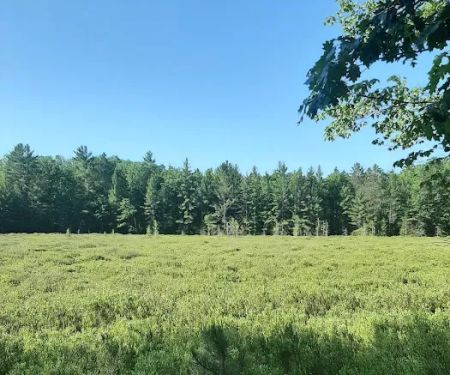 Lake Dubonnet Trail Camp