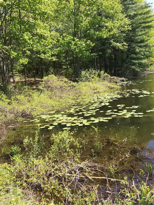 Lake Dubonnet Trail Camp 7