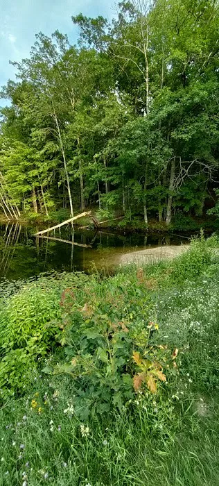 Lake Dubonnet Trail Camp 6